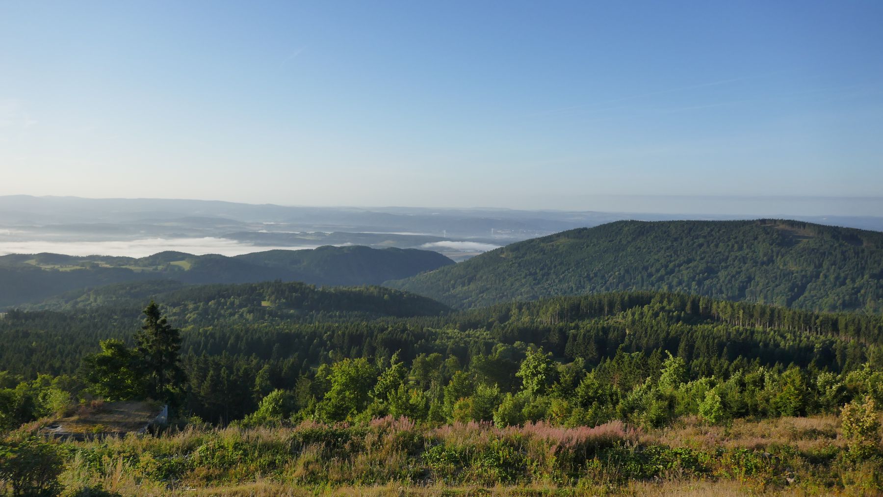 Karlovarsko z vrcholu Plešivce v Krušných horách