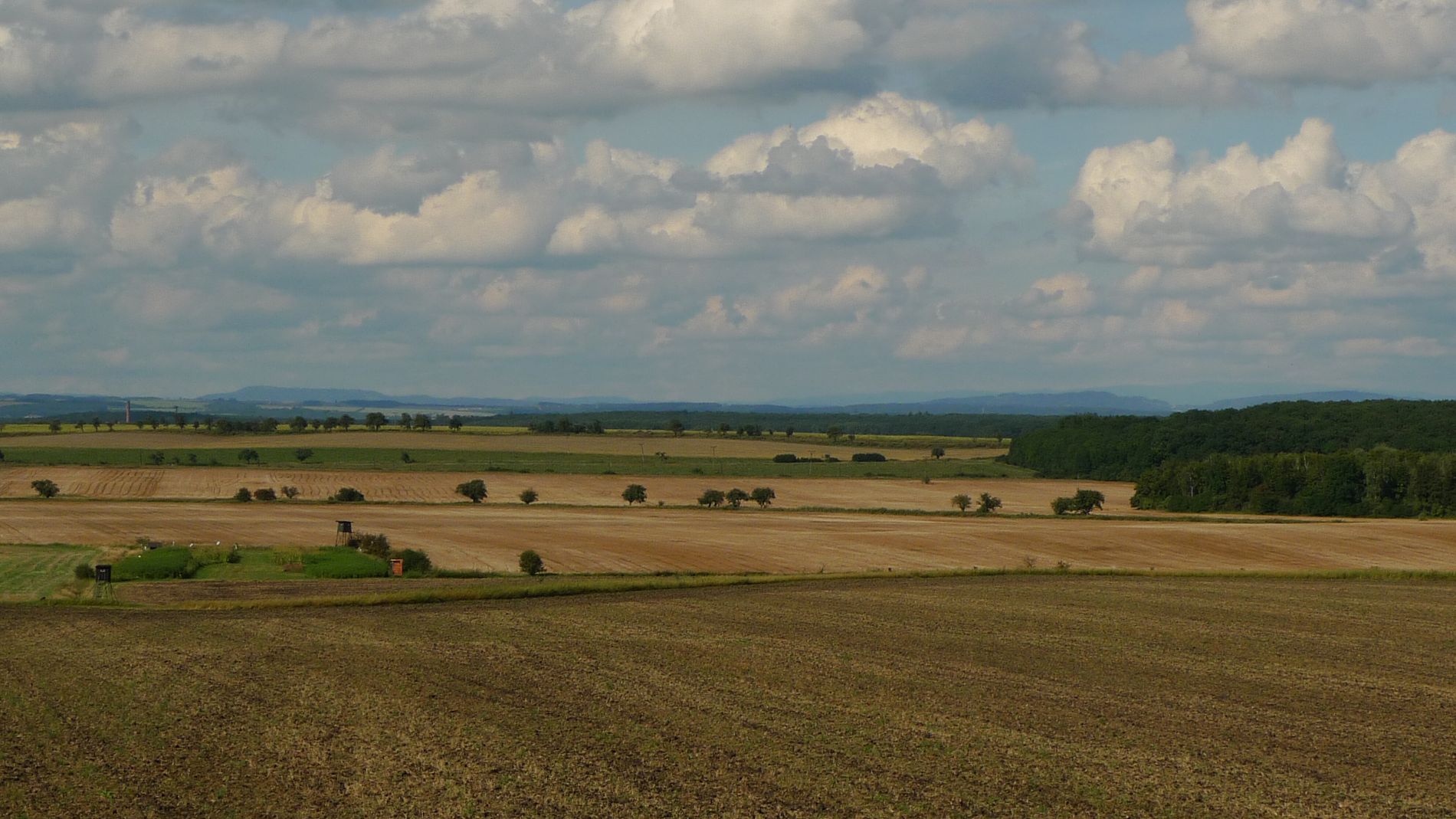 Severní Nymbursko a pohraniční hory od zábrdovické hrušně u Křince